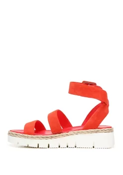 Franco Sarto Sales -Franco Sarto Sales Belk 1414